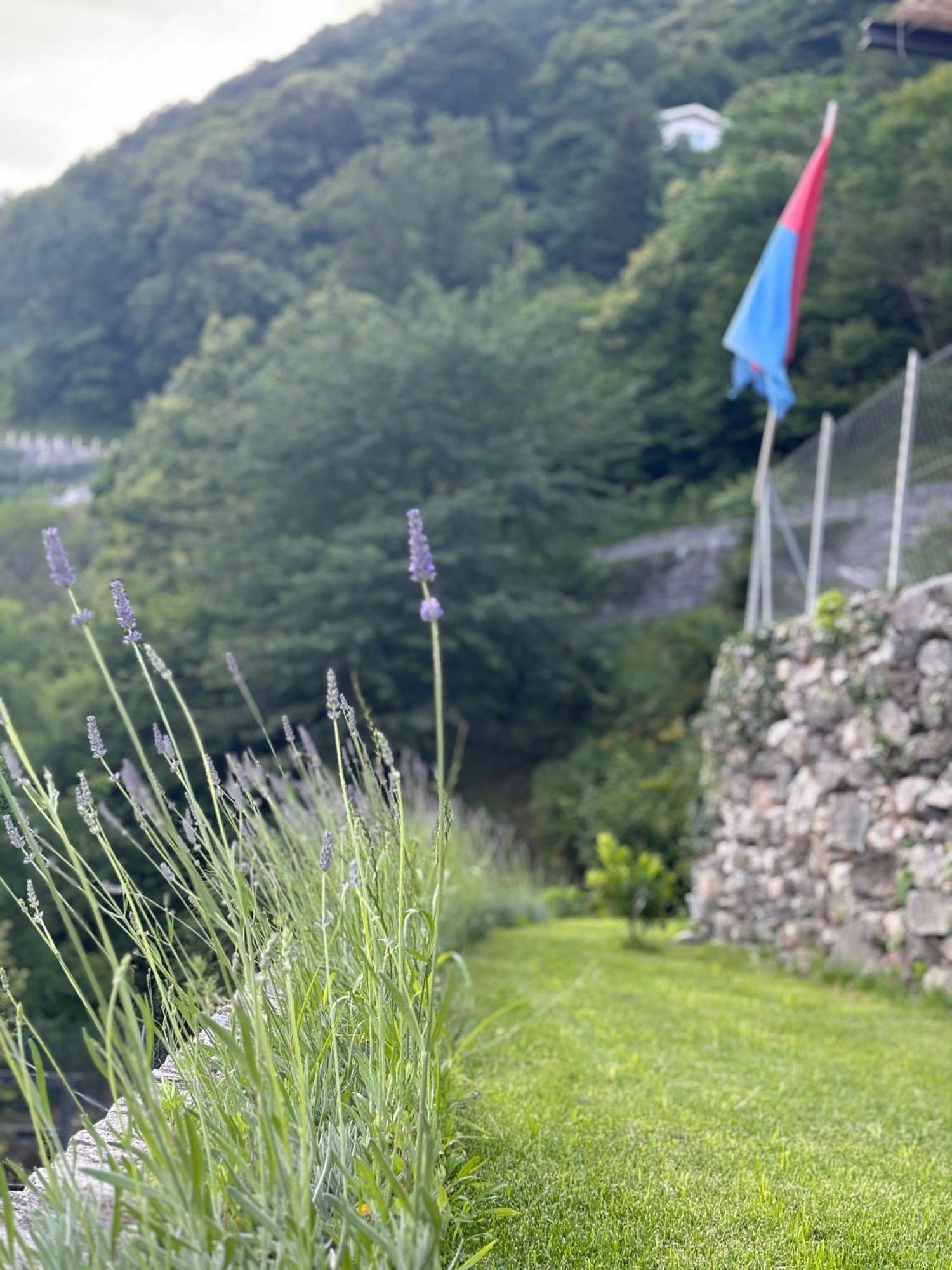 Ca'Gialla Bellinzona Bagian luar foto